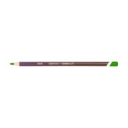 Derwent Coloursoft Kuru Boya Kalemi C420 Green
