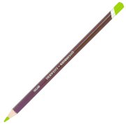 Derwent Coloursoft Kuru Boya Kalemi C450 Yellow Green