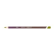 Derwent Coloursoft Kuru Boya Kalemi C500 Lichen Green
