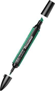 Winsor Newton Letraset Promarker Kalem G657 Emerald