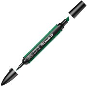 Winsor Newton Letraset Promarker Kalem G756 Lush Green