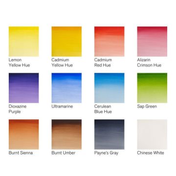 Winsor Newton Cotman Field Box 1/2 Sulu Boya 12li 0390639
