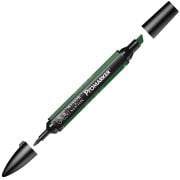 Winsor Newton Letraset Promarker Kalem G635 Pine