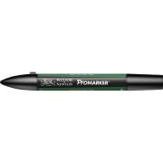 Winsor Newton Letraset Promarker Kalem G635 Pine