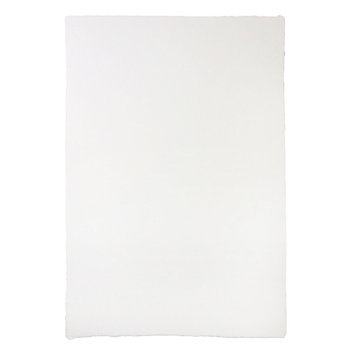 Watercolorist El Yapım Sulu Boya Kağıdı 38x56cm 300gr