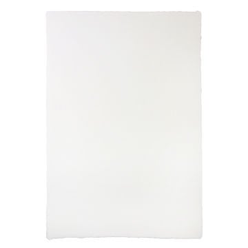 Watercolorist El Yapım Sulu Boya Kağıdı 38x56cm 300gr