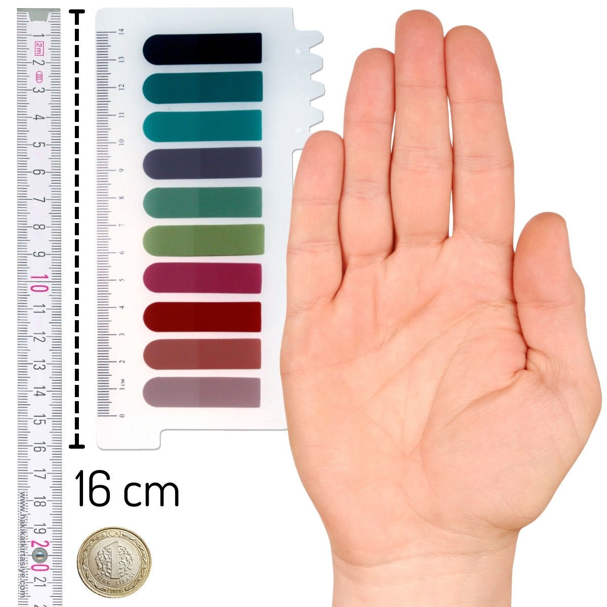 Color Note İndex Film (PP) 11x45mm 10lu 20yp Cetvelli - 35,00 TL ...