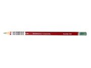 Derwent Pastel Pencils Pastel Kalem P450 Green Oxide