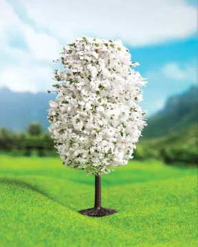 Eshel Maket Beyaz Dağ Çamı 6,5cm 3lü