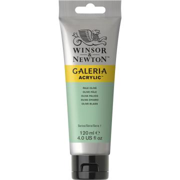 Winsor Newton Galeria Akrilik Boya 120ml 435 Pale Olive