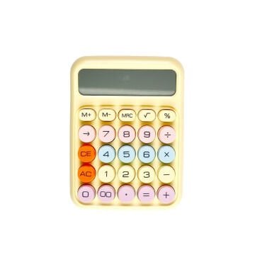 Ente Hesap Makinesi DX-819