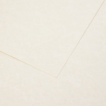 Daler Rowney Kaligrafi Defter 90gr A3 30yp
