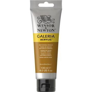 Winsor Newton Galeria Akrilik Boya 120ml 553 Raw Sienna Opaque