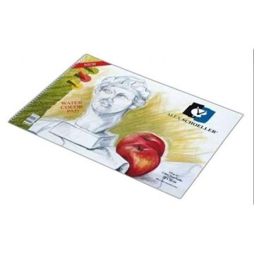 Alex Schoeller Resim Defteri Spiralli 120gr 50x70cm 20 Yaprak