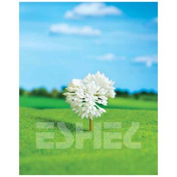 Eshel Maket Gül Çalı 4.5cm 2li