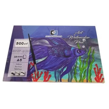 Alex Schoeller Art Suluboya Defteri 300gr A5 12 Yaprak ALX 0885