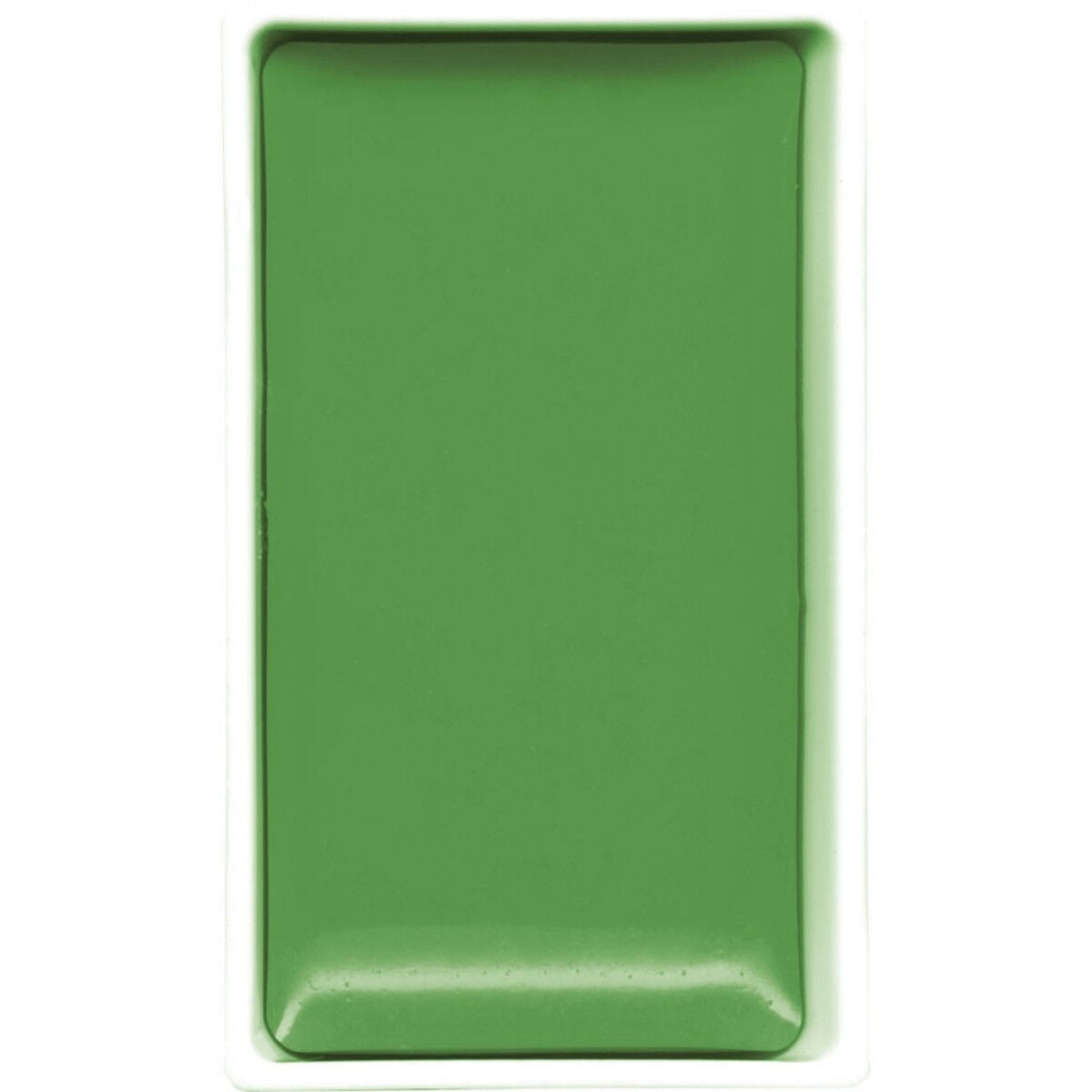 Zig Gansai Tambi Sulu Boya Tablet No 505 İvy Green