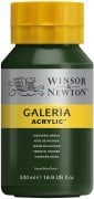 Winsor Newton Galeria Akrilik Boya 500ml 311 Hookers Green