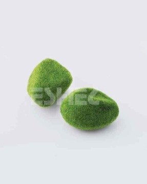 Eshel Maket Yosunlu Taş 1/50 2li