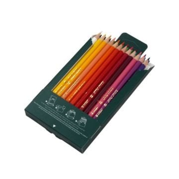 Arya Artist Profesyonel Kuru Boya Kalem Seti 24lü