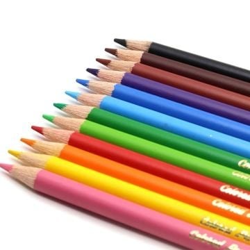 Arya Artist Profesyonel Kuru Boya Kalem Seti 50li